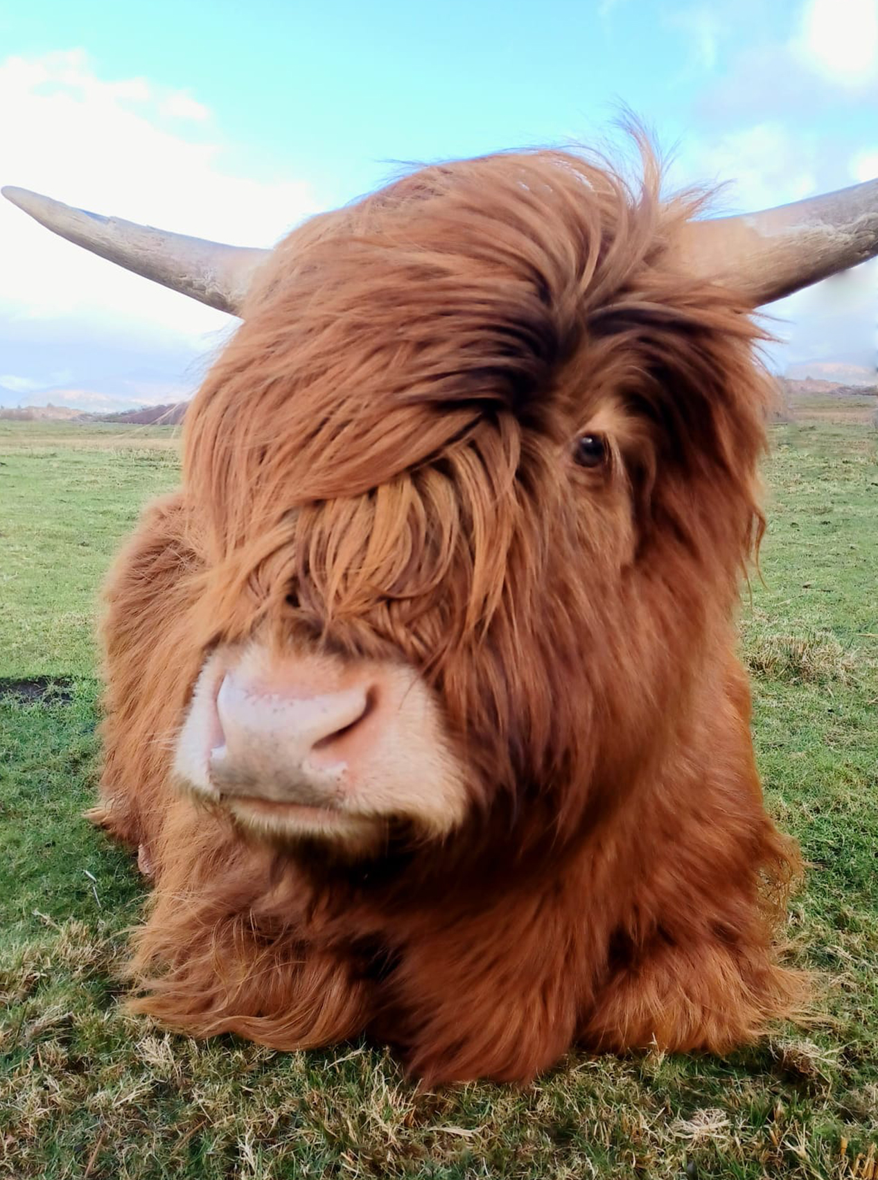 coos02 web